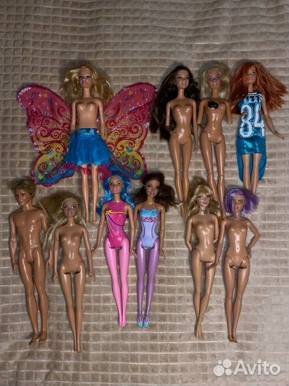 Куклы barbie ken winx ever after high с одеждой