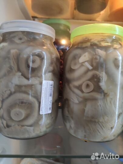 Грибы грузди соленые