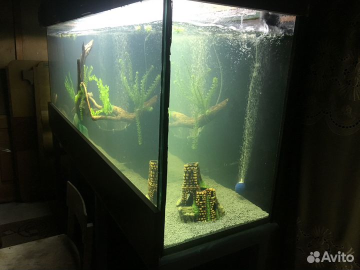 Аквариум большой 800 литров