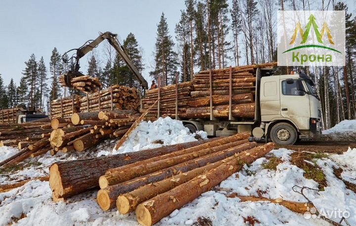 Доска обрезная 40х200 2 сорт