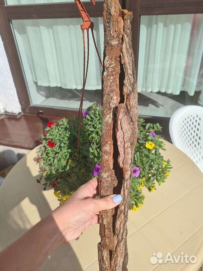 Кора дрифтвуд, кашпо