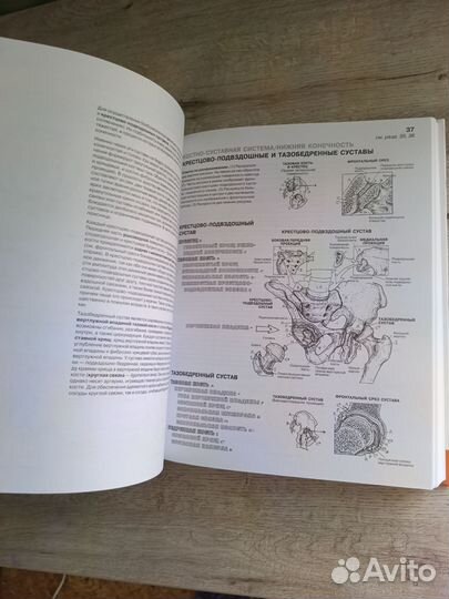 Атлас анатомии человека