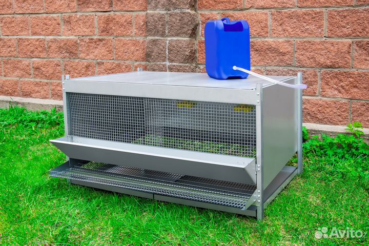 Клетки для кур несушек