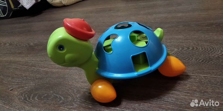 Сортер черепаха