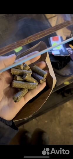 Вещи для конного спорта, лакомства для лошадей