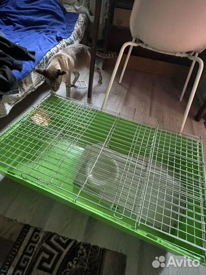 Клетка для грызунов большая