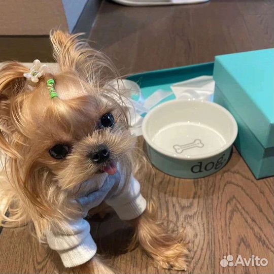 Миски для собак для кошек Tiffany