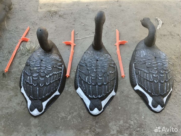 Чучела гусей белолобый