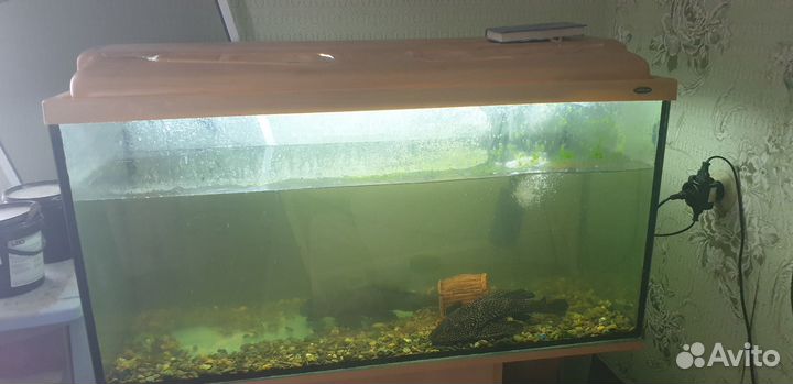 Аквариум с тумбой