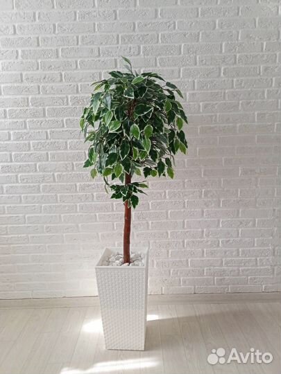 Искусственное дерево/Манго/Фикус