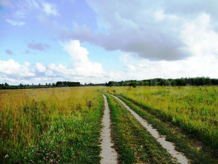 Участок 10 сот. (ИЖС)