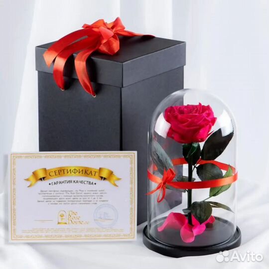 Розы в колбе