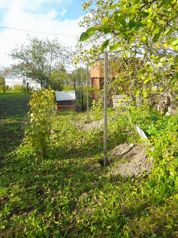 Участок 6,5 сот. (СНТ, ДНП)