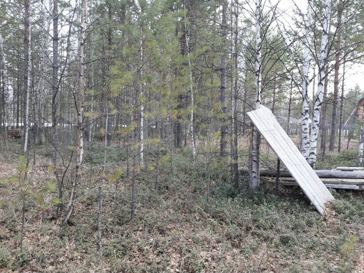 Участок 12 сот. (СНТ, ДНП)