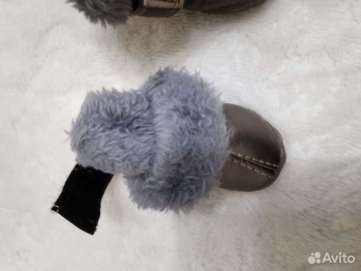 Обувь для маленьких собак