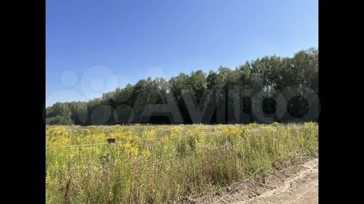 Участок 10 сот. (ИЖС)