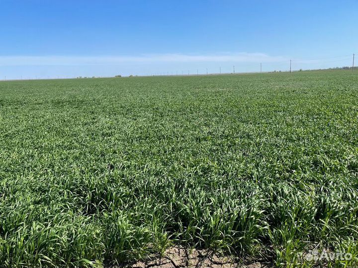 Продажа бизнеса. Окупаемость до 3-х лет