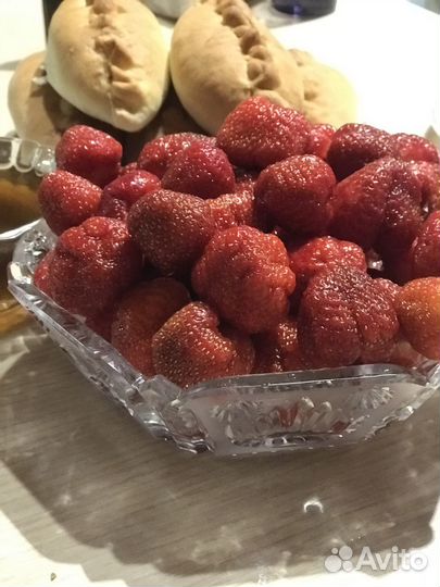 Саженцы клубники