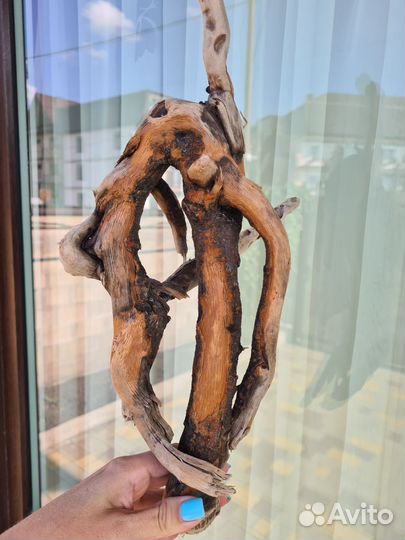 Морские коряги дрифтвуд