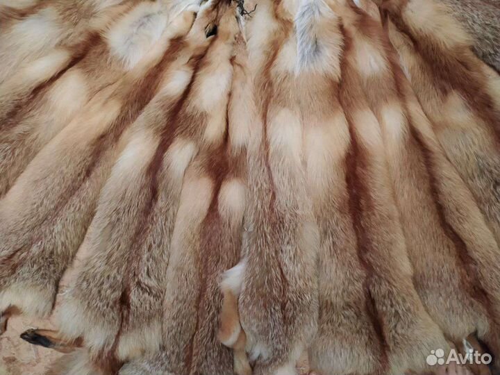 Лисьи шкуры