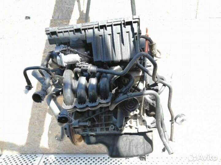 Двигатель Volkswagen Golf 5 (2003 - 2009) 1.4 BUD