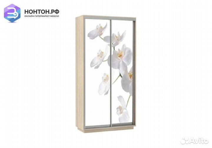 Шкаф-купе Нонтон 2-дверный ясень шимо светлый / ор