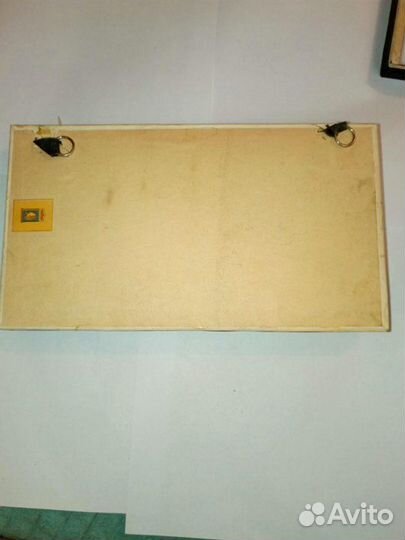 Скелет летучей мыши