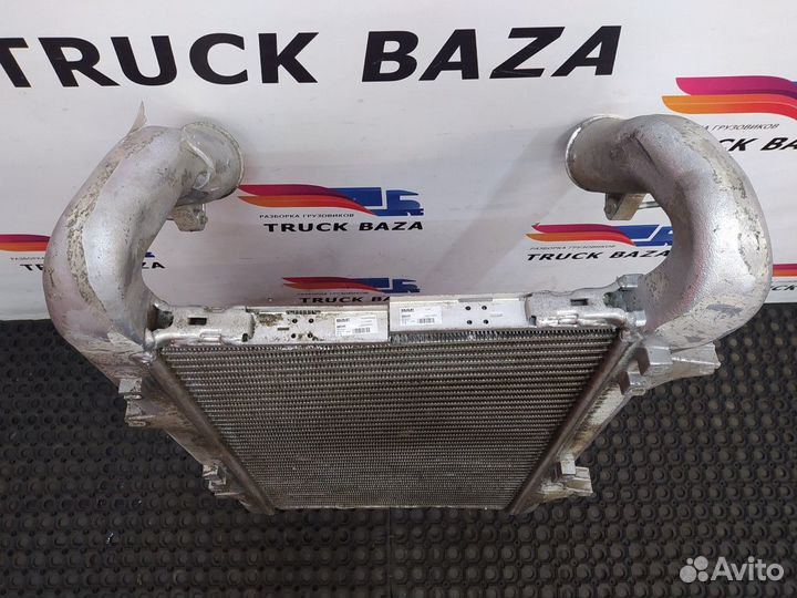 Интеркулер Daf XF105