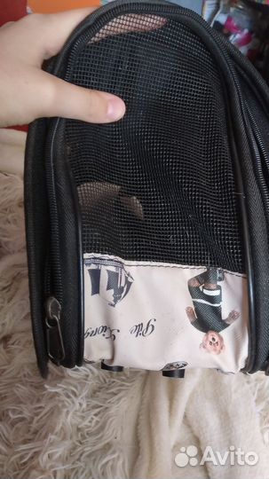 Переноска для животных