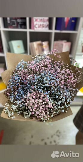 Гипсофила букет