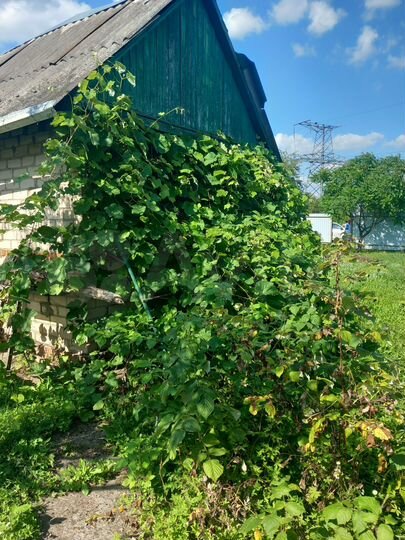 Дача 10 м² на участке 6 сот.