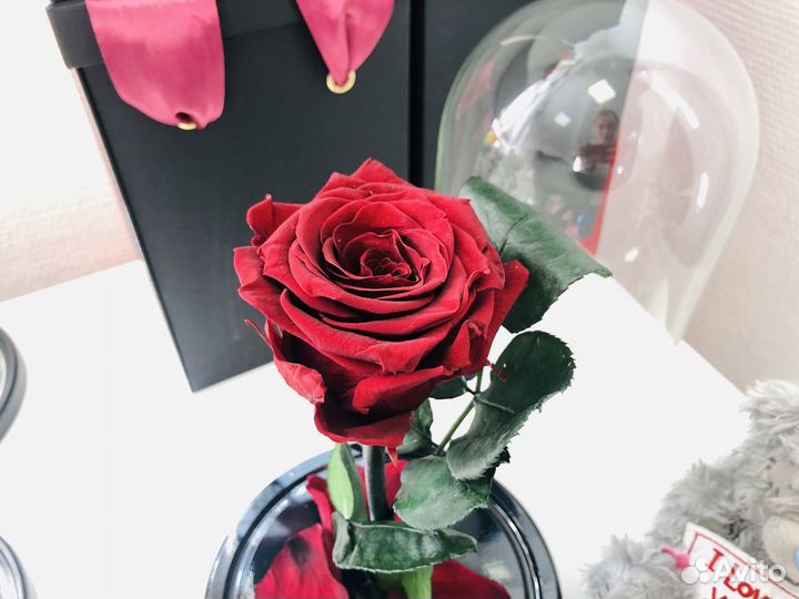 Роза в колбе