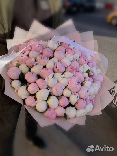 Пионы цветы букеты 81 101 151 201 251