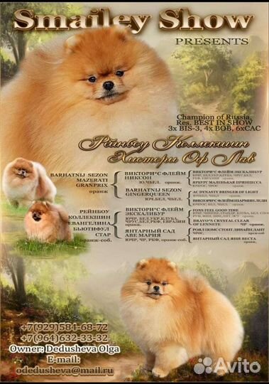 Вязка с шикарным Чемпионом