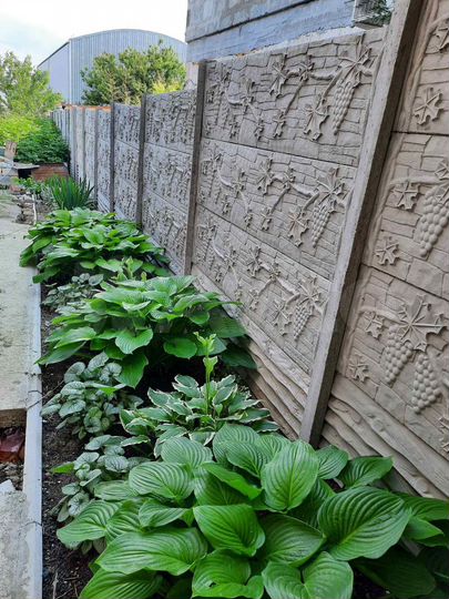 Дом 60 м² на участке 7 сот.