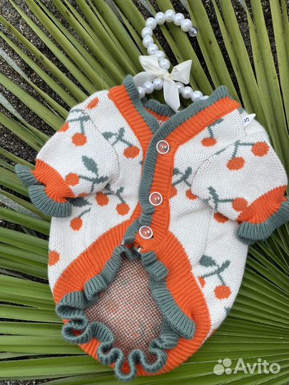 Одежда для маленьких собак