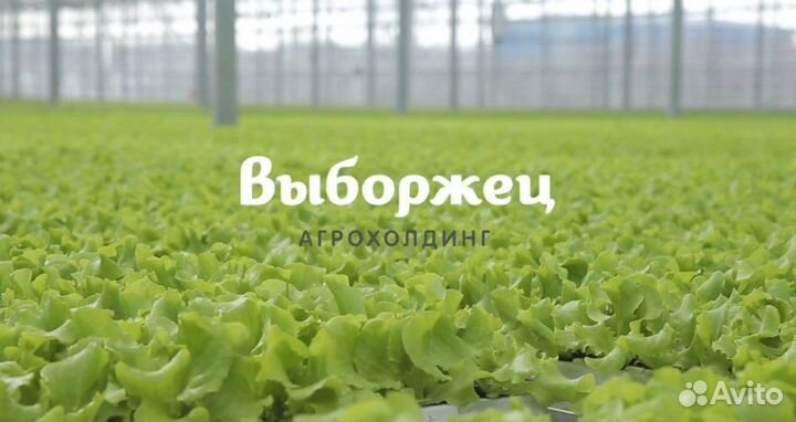 Водитель-экспедитор категории се