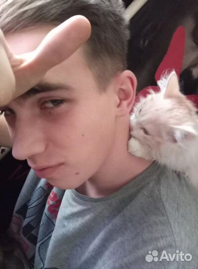 Ювелир
