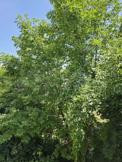 3-к. квартира, 64 м², 3/5 эт.