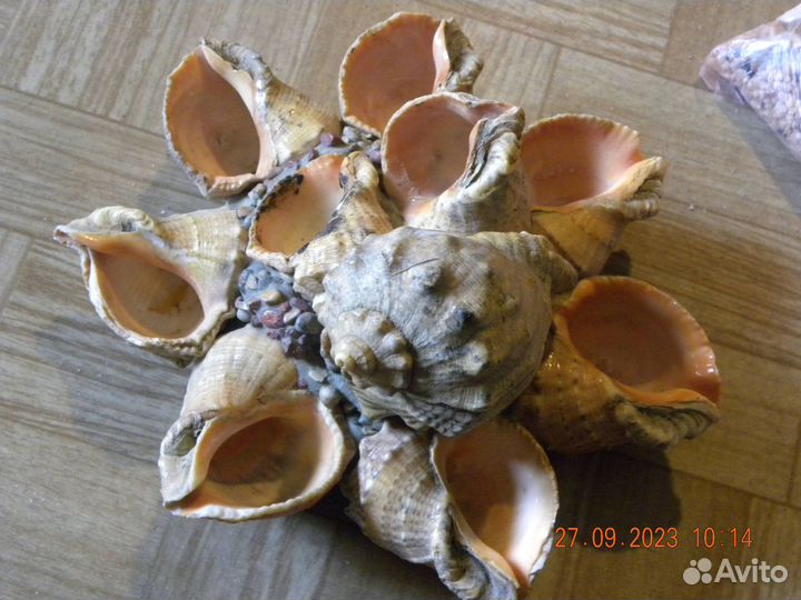 Аквариумные принадлежности