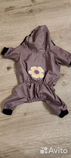 Дождевик для маленькой собаки