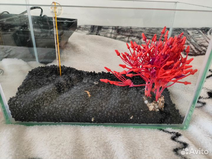 Аквариум + фильтр 5л