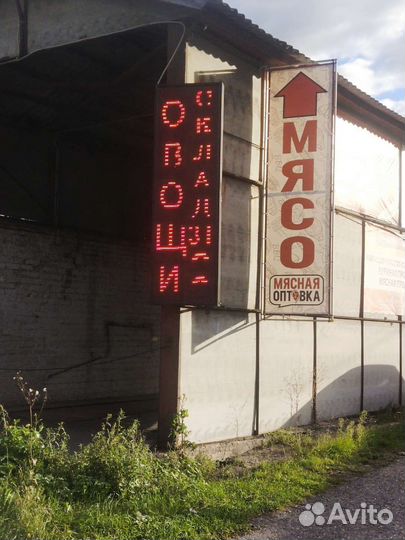 Овощи, ассортимент продовольственного картофеля