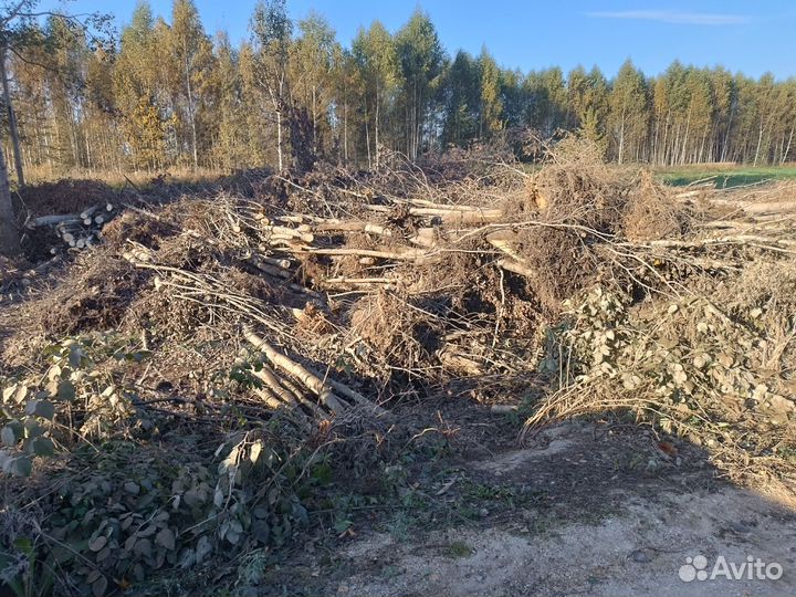 Дрова бесплатно (берёза и осина) самовывоз