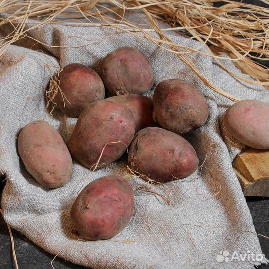 Картофель домашний