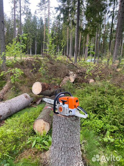 Дрова бесплатно