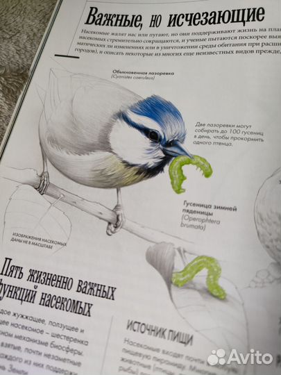 Журнал national geographic