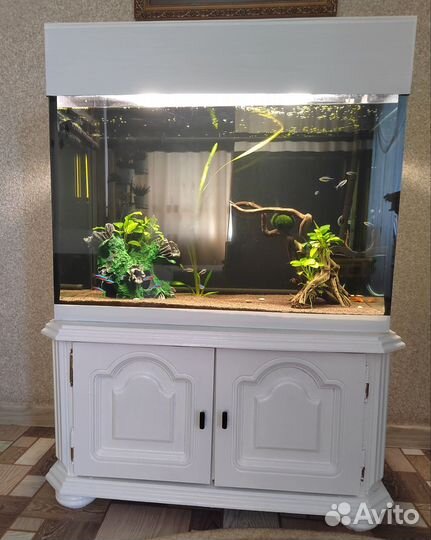Аквариум с тумбой 170 литров