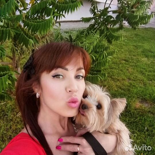 Передержка для собак