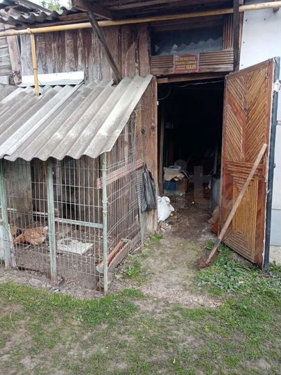 Дом 43 м² на участке 2 сот.